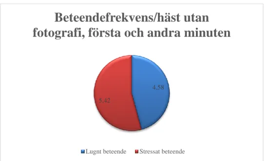 Figur 4. Beteendefrekvensen av lugna och stressade beteenden per häst under sammanlagt första och 