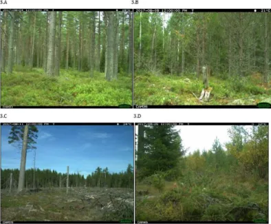 Figure 3: Examples of the four types of habitat classification taken into account in the  analysis