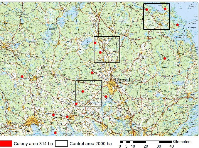 Figure 5. 14 of the 16 Myotis brandtii colonies (red dots) and the three control areas (black squares) 