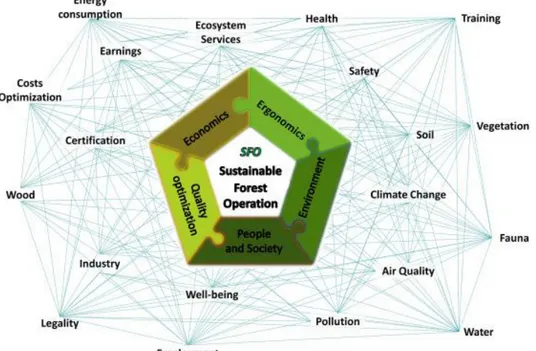 Figur 8. Sustainable Forest Operations (SFO). Vad som liknar en spindelväv i figuren visar på förhållandena  som råder mellan de olika koncepten (t ex är konceptet “välmående” kopplat till koncepten “industri” och  “luftkvalitet”)