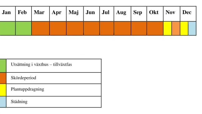 Figur 2. Så här kan ett teoretiskt odlingsår med tidig plantering i ett sydsvenskt 