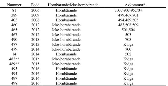 Tabell 1. Individuella data på korna i den äldre gruppen