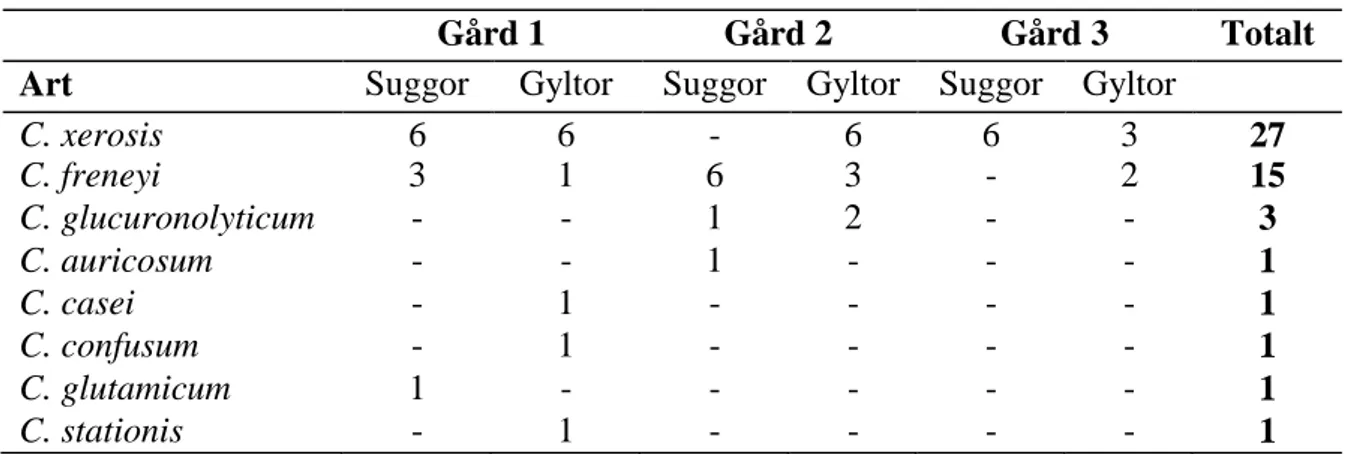 Tabell 4. Artfördelning inom genus Corynebacterium, antal isolat 
