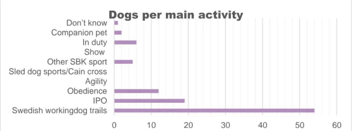 Figure 2. Distribution of main activity for the dogs in the questionnaire   