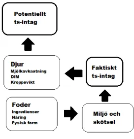 Figur 1. Modifierad efter Weiss (2015). 