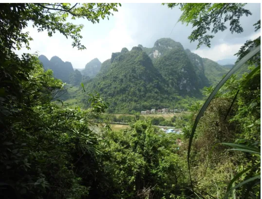 Figure 1 Karst peak-cluster depression illustrated by the view of a village in Nanning, Guangxi 