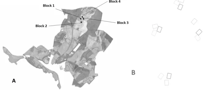 Figur 1. Illustrationen till vänster visar en karta över Herrevadskloster, där block ett till fyra är  utmärkta