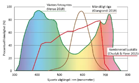 Diagram 1. Visuell sammanställning av de fakta om ljus som framkommit under bakgrundsarbetet
