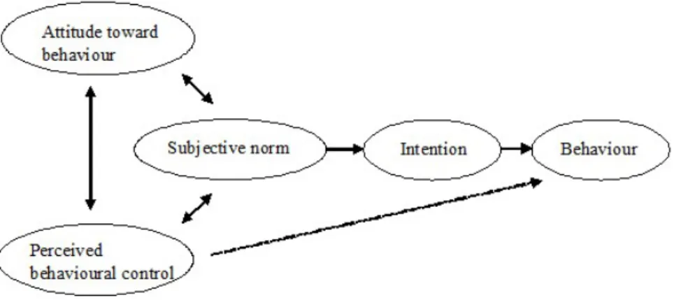 Figure 2. A model of the theory of planned behaviour (Schifter &amp; Ajzen, 1985). 