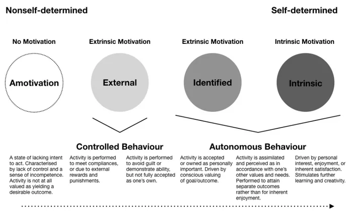 Figure 1. The Self-Determination continuum: The figure shows three main types of motivations and their level of internali- internali-sation with the individual