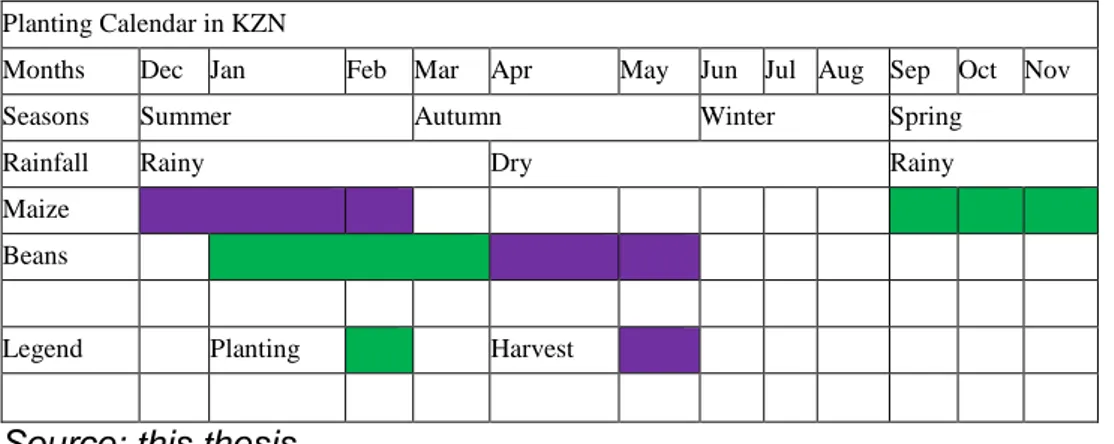 Table 3. Planting Calendar for ULM subsistence farmers   Planting Calendar in KZN 