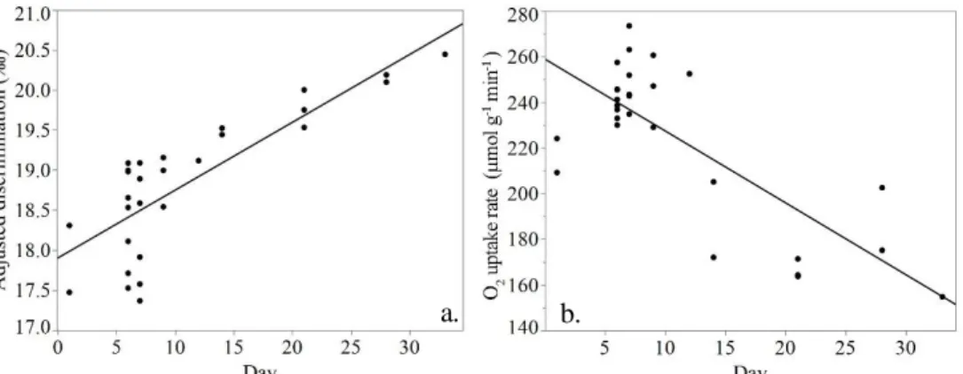 Figure 4. Discrimination adjusted for water content (a) and O 2  uptake rate (b) for controls, young and 