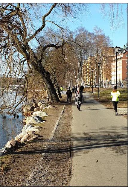 Fig. 12. Grönstråk separerat från fordonstrafik beläget invid vatten.  Park längs Norr Mälarstrand på Kungsholmen, Stockholm.
