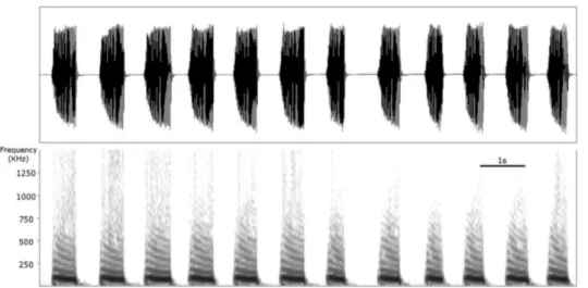 Figure  7  -  Signal  pbFS80  characterization,  oscillogram  (above)  and  (spectrogram)  below  taken from Mazzoni et al., (2017) 