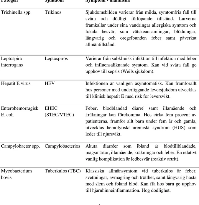 Tabell 1: Bekräftade zoonoser inom vildsvinspopulationer i Europa och deras (human) symptom 