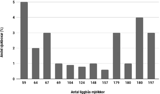 Figur 4. Andelen sjukboxar (antal sjukboxar/antal liggbås för mjölkkor) på de olika ritningarna