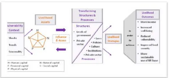 Figure 2. Sustainable Livelihood Framework 