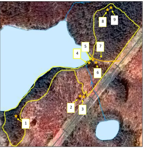 Figur 3.1  Karta över området vid Kutbo-Dammsjön med av arkeolog bekräftade forn- och   