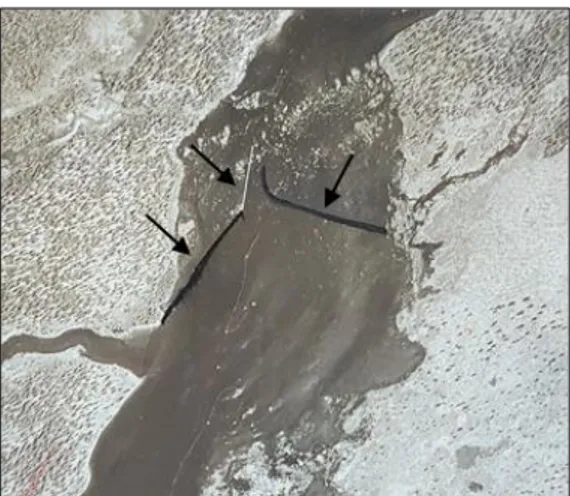 Figur 9. Flygfoto över Piteälven där bommar 