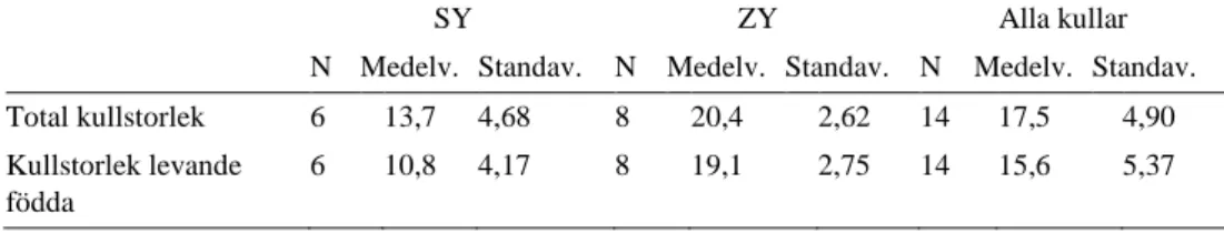 Tabell 6. Genomsnittlig kullstorlek för raslinjerna samt gemensamt vid födsel och levande födda små- små-grisar per sugga (N)