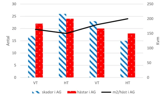 Figur 8. Diagrammet visar antal skador i den aktiva grupphästhållningen i förhållande till antal kvm per 