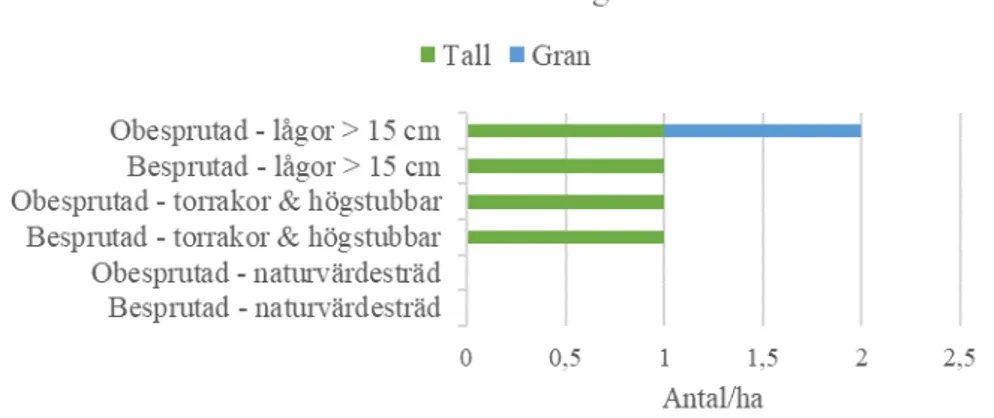 Figur 12. Antal naturvärden inom Inner-Lomtjärnkullen besprutad och obesprutad 