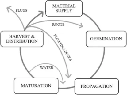 Figure 5 Production life cycle of Urban Oasis (own illustration) 