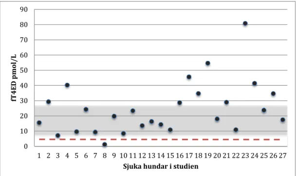 Figur 4. Diagram med fT4ED-värden för alla sjuka hundar oavsett kategori. Grå bakgrund  är referensintervallet, de svarta punkterna är värden för alla hunder med icke tyreoidal  sjukdom och röda strecket är lägsta mätvärdet