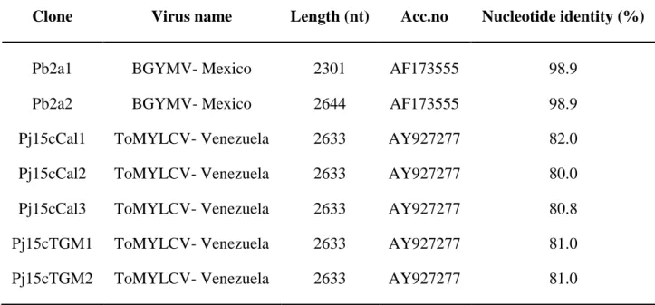 Table 3: Sequencing results of full-length clones for samples 2a and 15c from Nicaragua