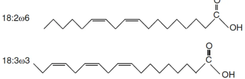 Figure 1. Chemical structures of the polyunsaturated fatty acids Linoleic acid (LIN 18:2 w6) and Al- Al-pha-linolenic acid (ALA 18:3w3) showing the positions of the double bonds typical for w3 and w6  groups
