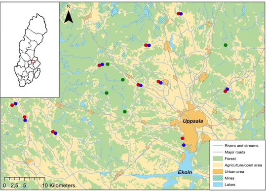 Figure 2. Map of the Ekoln basin with reference forest sites (green), and paired sites: (red) unbuffered  sites and (blue) buffered sites
