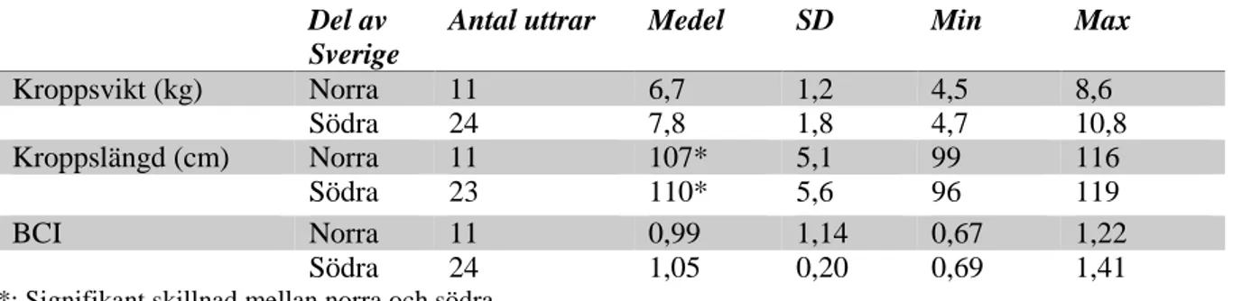 Tabell 1. Resultat av spermieutstryk (positivt eller negativt) från subadulta (n=5) och adulta (n=34) 