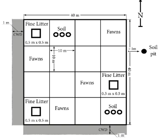 Figure 2. Schematics over one of the 12 40 x 40 m plots sampled across the study system, describing the default layout  for the sampling in 10*10-meter grids where fine litter is collected in the center of three sub-plots in a 0.5*0.5m  quadrats, soil is c