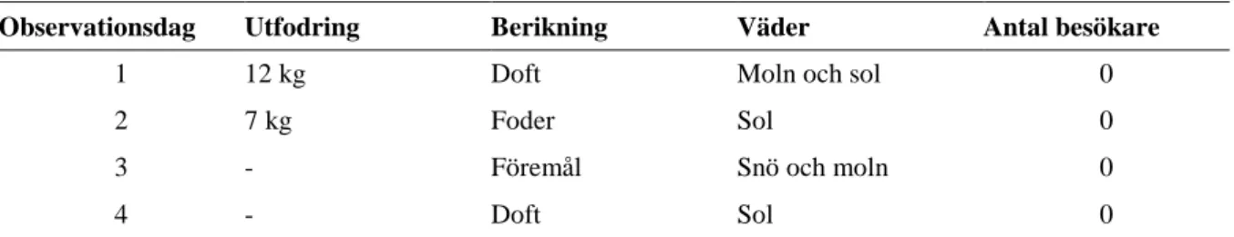 Tabell 2. Dagsuppgifter för observationsdagarna. 