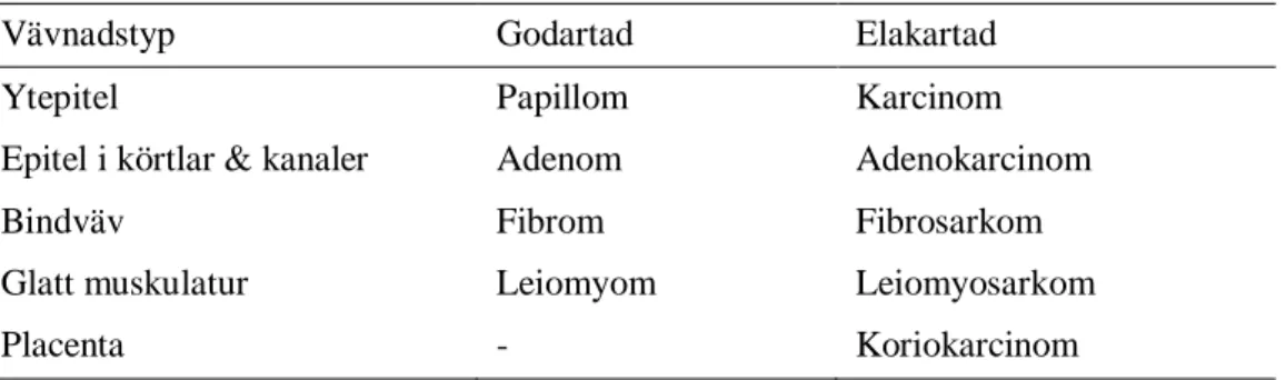 Tabell 1. Några tumörbenämningar på tumörer relaterade till livmodern 