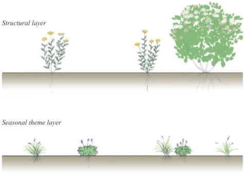 Figure 6. The different layers of a designed plant community, based on   Rainer &amp; West, 2015