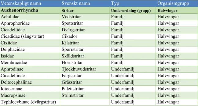 Tabell 1. Översikt över familjer och underfamiljer inom stritar. (Artdatabasen 2019). 