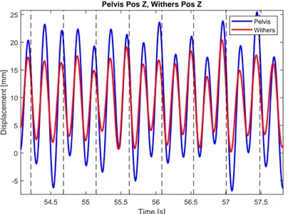 Figure 9. Stride split of withers and pelvis vertical positions p z w and p z p .