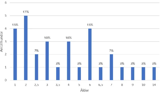Figur 1. Fördelning av ålder hos de medverkande hundarna. 