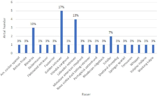 Figur 2. Fördelning av raser hos de medverkande hundarna. 