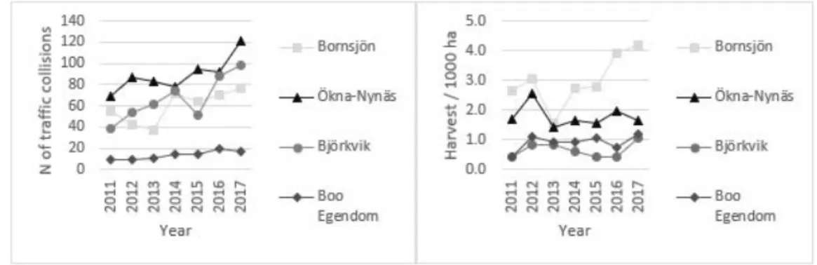 Figure 1. Development of traffic accidents (left) and harvest of wild boar per 1000 ha (right)  during 2011 - 2017 in four game management areas in which the study areas are located  (Viltdata 2018)