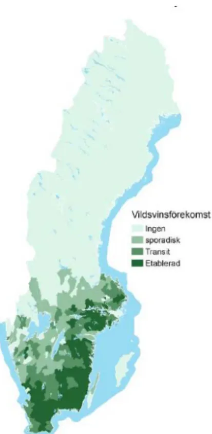 Figure 3. The dispersal of wild boar (S. scrofa) in Sweden, darker colour represent presence or  establishment of wild boar in the area (SOU, 2014:54)