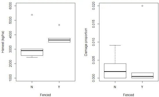 Figure 5. To the left: harvest (kg/ha) on fenced (Y) and unfenced (N) fields (n=10). To the right:  proportion of damage on fenced (Y) and unfenced (N) fields (n=10)