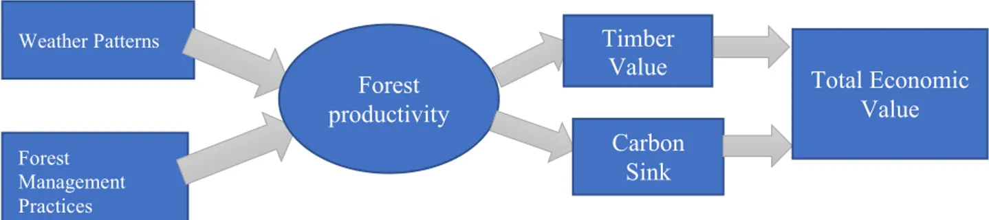 Figure 1. The process of calculating the total economic value. 