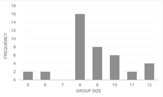 Figure  4.  Frequency of slaughter pigs (total number of animals) in different group sizes 