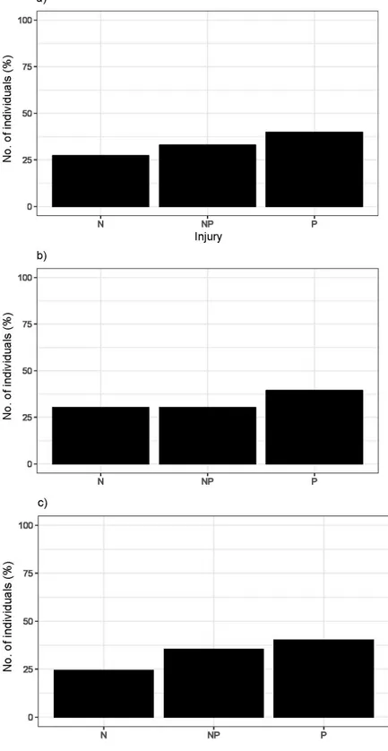 Fig. 2.  Number of Myopus schisticolor specimens (%) without injury (N), injured by  predators after their death (NP) or killed by predators (P) in a) 2014 and 2017 combined (n  = 158), b) 2014 (n = 76) and c) 2017 (n = 82)