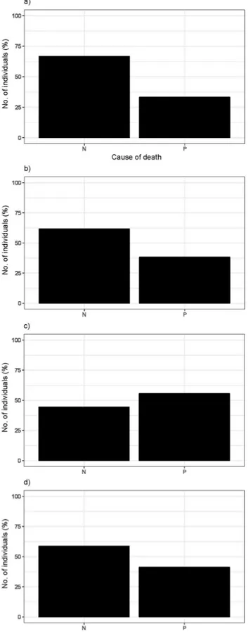 Fig. 3.  Number of Myopus schisticolor specimens (%) killed by predation (P) or that died  from other causes than predation (N) including both sexes in a) September 2014 (n = 3), b)  August 2014 (n = 47), c) July 2014 (n = 18) and d) September 2017 (n = 80