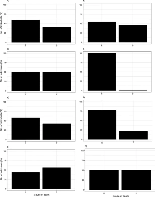 Fig. 5.  Number of Myopus schisticolor specimens (%) found-dead and killed by predation  (P) or that died from other causes than predation (N)