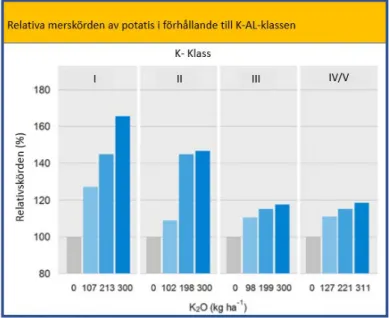 Figur 9. Relativ skördeökning av potatis beroende på K-AL-klassen. Från  vänster till höger: låg, mellan, optimal, hög