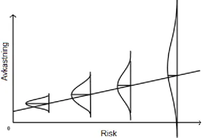 Figur 1. Sambandet mellan risk och avkastning. De linsformade objekten representerar 